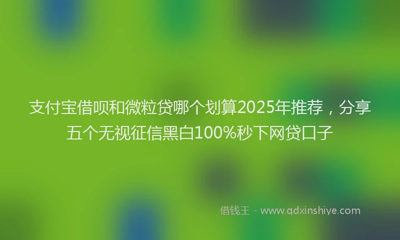 支付宝借呗和微粒贷哪个划算2025年推荐，分享五个无视征信黑白100%秒下网贷口子