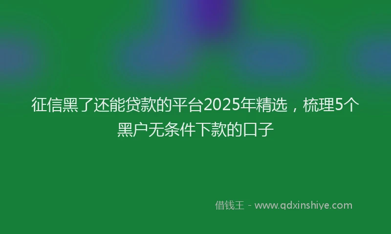 征信黑了还能贷款的平台2025年精选，梳理5个黑户无条件下款的口子