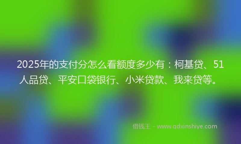 2025年的支付分怎么看额度多少有：柯基贷、51人品贷、平安口袋银行、小米贷款、我来贷等。