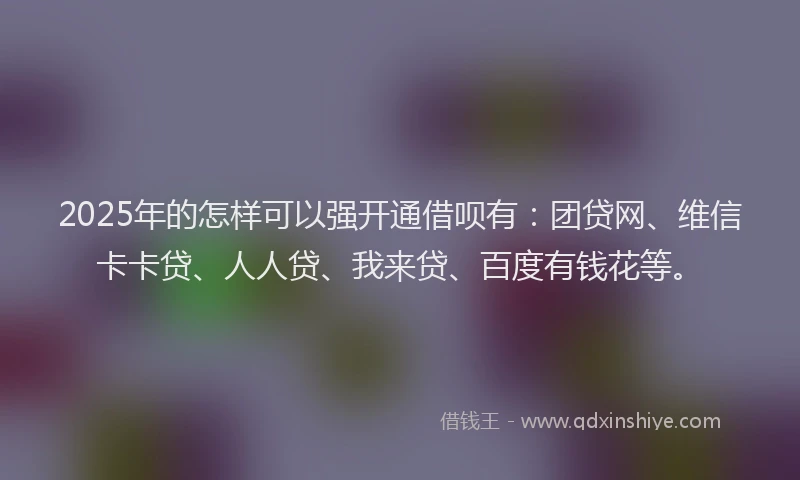 2025年的怎样可以强开通借呗有：团贷网、维信卡卡贷、人人贷、我来贷、百度有钱花等。
