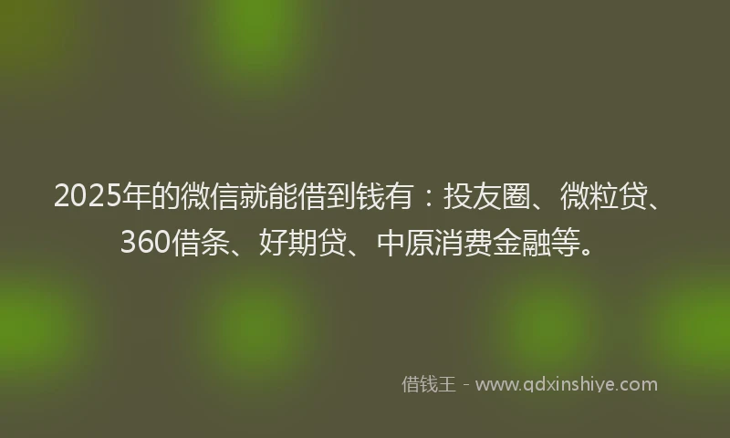 2025年的微信就能借到钱有：投友圈、微粒贷、360借条、好期贷、中原消费金融等。