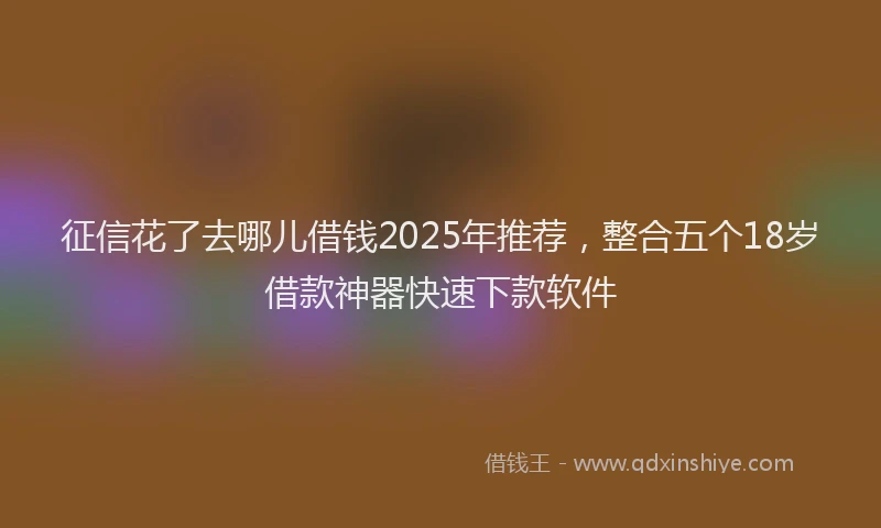 征信花了去哪儿借钱2025年推荐，整合五个18岁借款神器快速下款软件