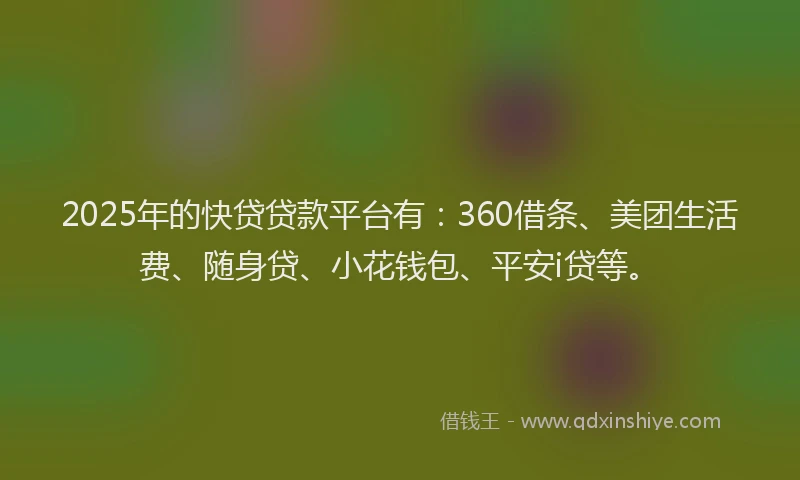 2025年的快贷贷款平台有：360借条、美团生活费、随身贷、小花钱包、平安i贷等。
