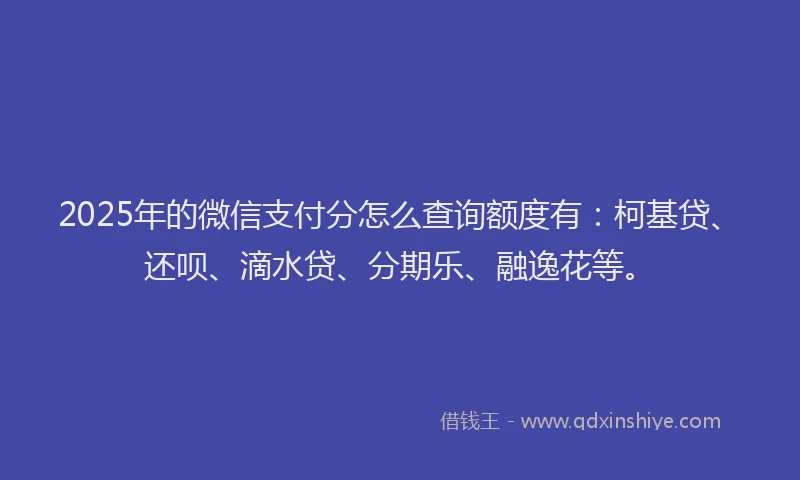 2025年的微信支付分怎么查询额度有：柯基贷、还呗、滴水贷、分期乐、融逸花等。