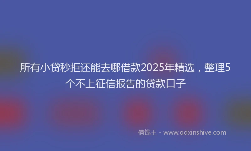 所有小贷秒拒还能去哪借款2025年精选，整理5个不上征信报告的贷款口子