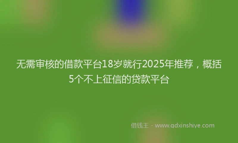 无需审核的借款平台18岁就行2025年推荐，概括5个不上征信的贷款平台