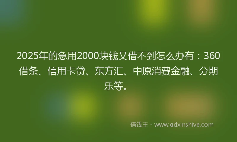 2025年的急用2000块钱又借不到怎么办有：360借条、信用卡贷、东方汇、中原消费金融、分期乐等。