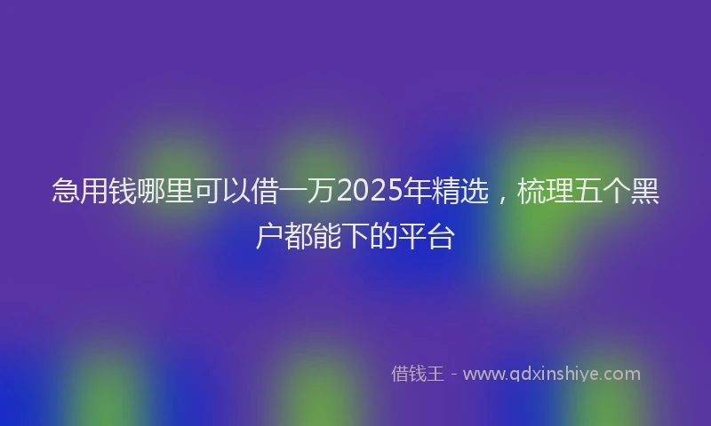 急用钱哪里可以借一万2025年精选，梳理五个黑户都能下的平台