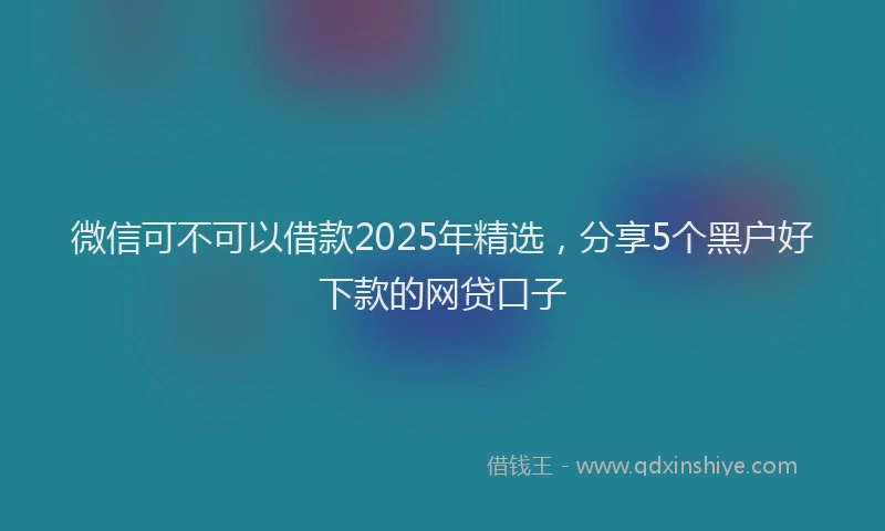 微信可不可以借款2025年精选，分享5个黑户好下款的网贷口子