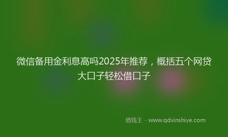 微信备用金利息高吗2025年推荐，概括五个网贷大口子轻松借口子