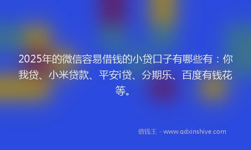2025年的微信容易借钱的小贷口子有哪些有：你我贷、小米贷款、平安i贷、分期乐、百度有钱花等。