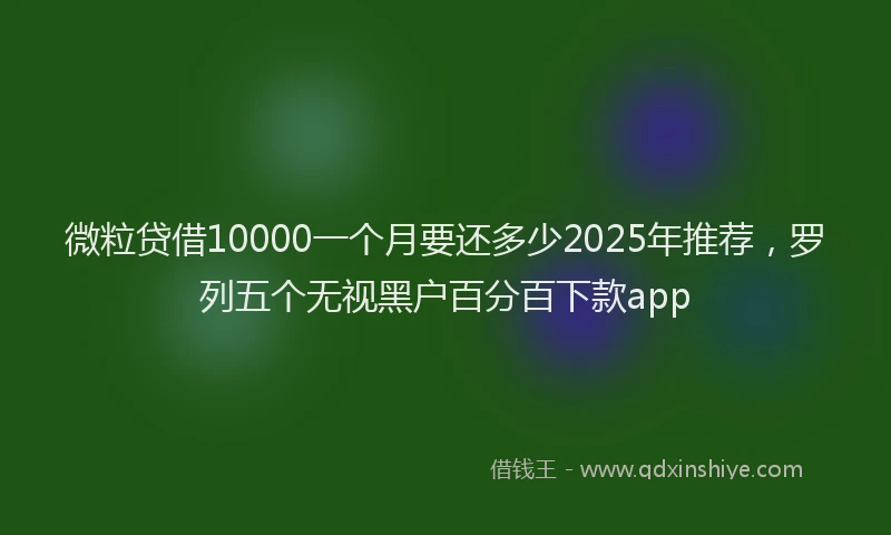 微粒贷借10000一个月要还多少2025年推荐，罗列五个无视黑户百分百下款app