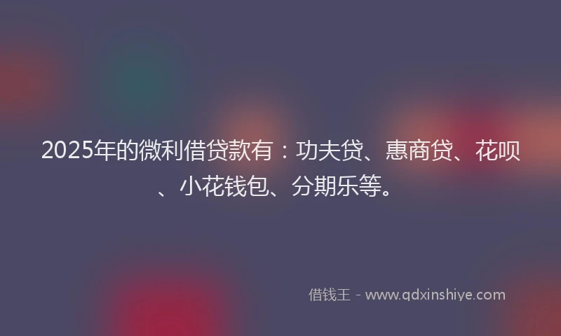 2025年的微利借贷款有：功夫贷、惠商贷、花呗、小花钱包、分期乐等。