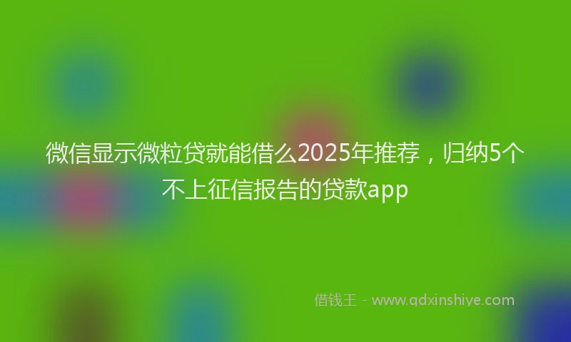 微信显示微粒贷就能借么2025年推荐，归纳5个不上征信报告的贷款app