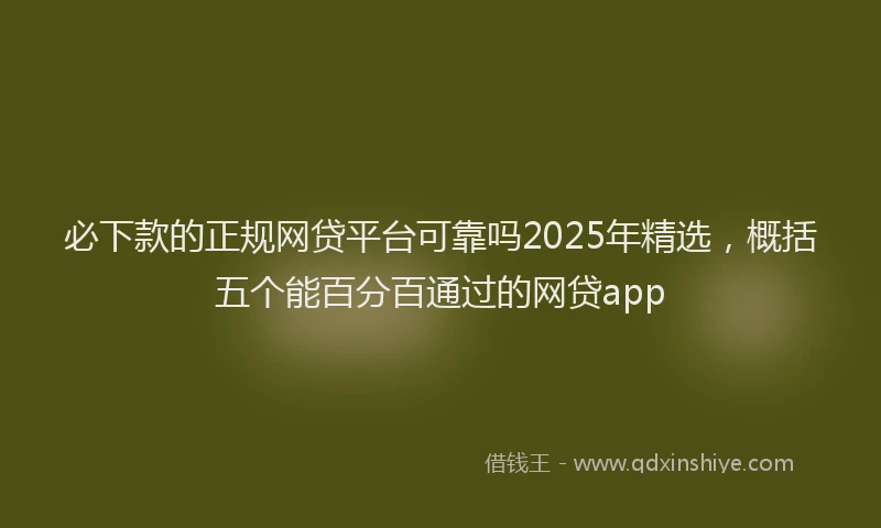 必下款的正规网贷平台可靠吗2025年精选，概括五个能百分百通过的网贷app
