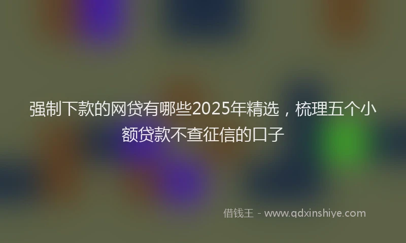 强制下款的网贷有哪些2025年精选，梳理五个小额贷款不查征信的口子
