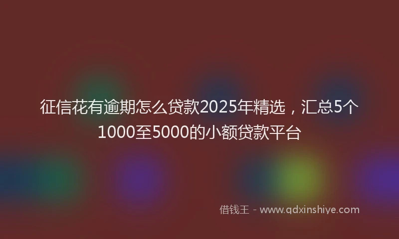 征信花有逾期怎么贷款2025年精选，汇总5个1000至5000的小额贷款平台