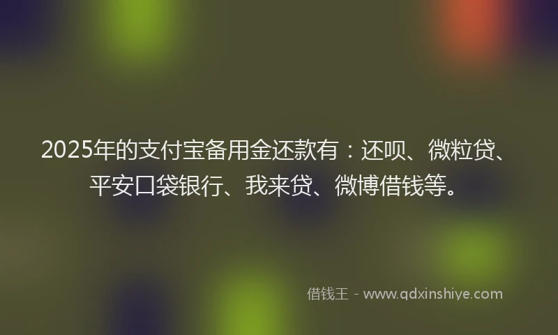 2025年的支付宝备用金还款有：还呗、微粒贷、平安口袋银行、我来贷、微博借钱等。