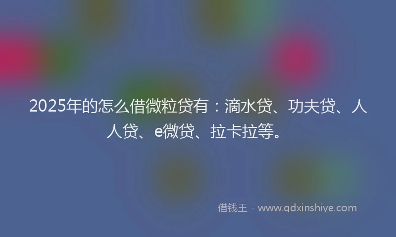 2025年的怎么借微粒贷有：滴水贷、功夫贷、人人贷、e微贷、拉卡拉等。
