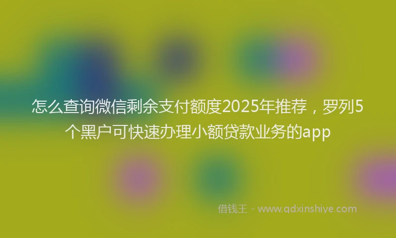 怎么查询微信剩余支付额度2025年推荐，罗列5个黑户可快速办理小额贷款业务的app