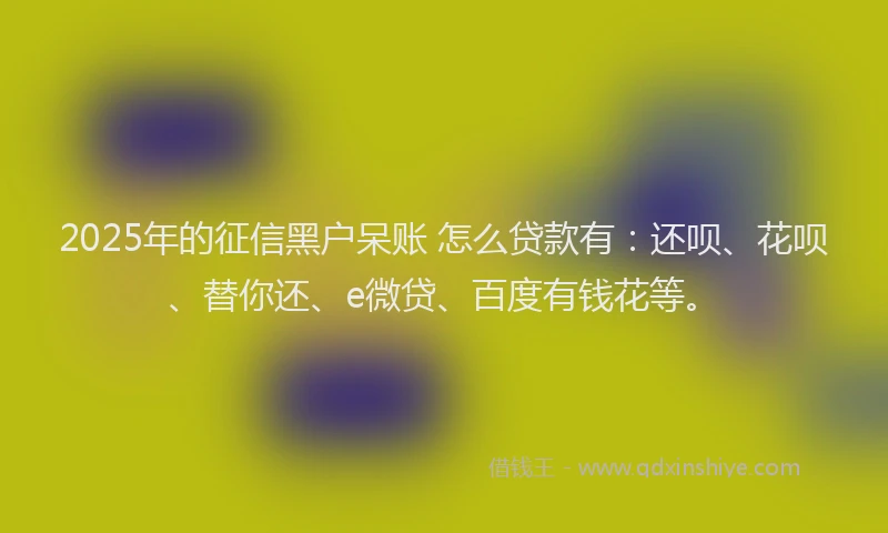 2025年的征信黑户呆账 怎么贷款有：还呗、花呗、替你还、e微贷、百度有钱花等。