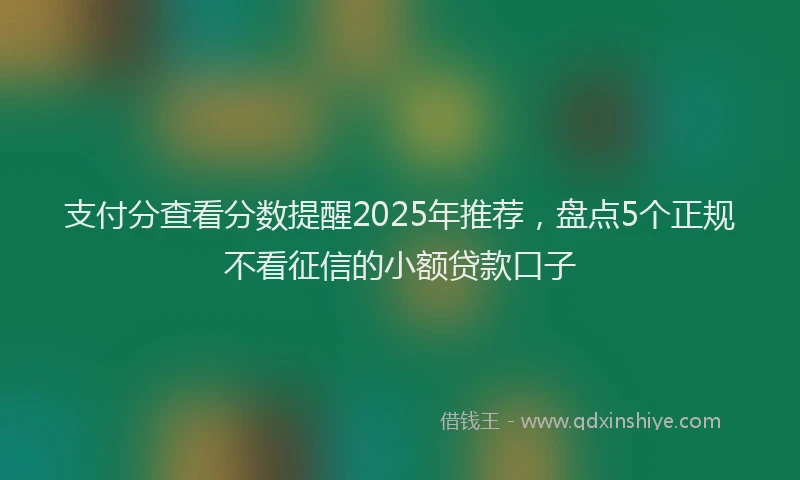 支付分查看分数提醒2025年推荐，盘点5个正规不看征信的小额贷款口子