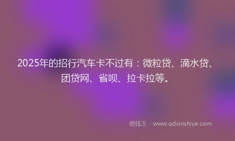 2025年的招行汽车卡不过有：微粒贷、滴水贷、团贷网、省呗、拉卡拉等。