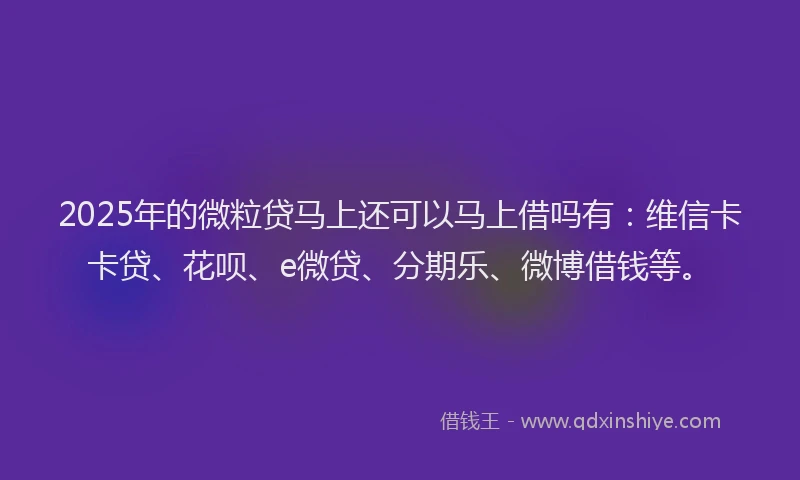 2025年的微粒贷马上还可以马上借吗有：维信卡卡贷、花呗、e微贷、分期乐、微博借钱等。