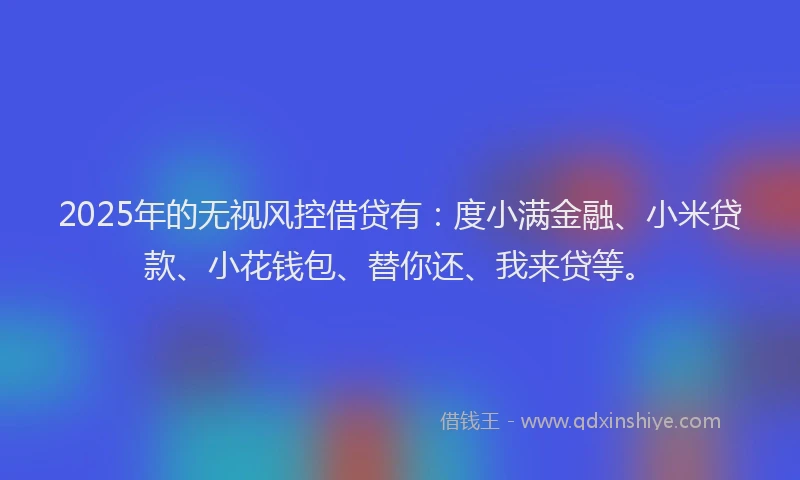 2025年的无视风控借贷有：度小满金融、小米贷款、小花钱包、替你还、我来贷等。
