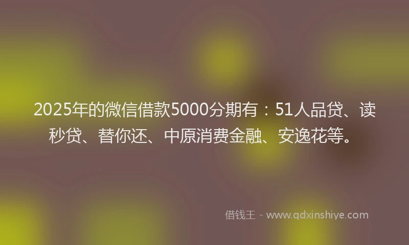 2025年的微信借款5000分期有：51人品贷、读秒贷、替你还、中原消费金融、安逸花等。