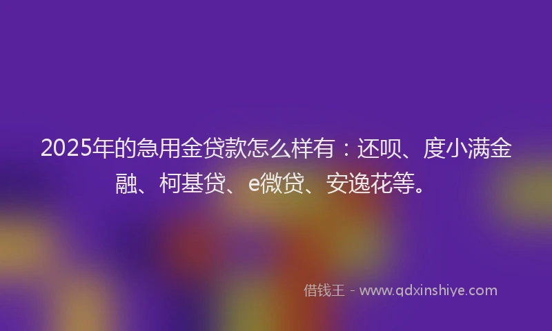 2025年的急用金贷款怎么样有：还呗、度小满金融、柯基贷、e微贷、安逸花等。