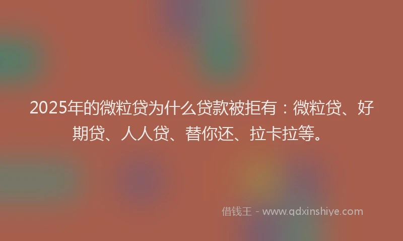 2025年的微粒贷为什么贷款被拒有：微粒贷、好期贷、人人贷、替你还、拉卡拉等。