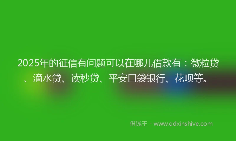2025年的征信有问题可以在哪儿借款有：微粒贷、滴水贷、读秒贷、平安口袋银行、花呗等。