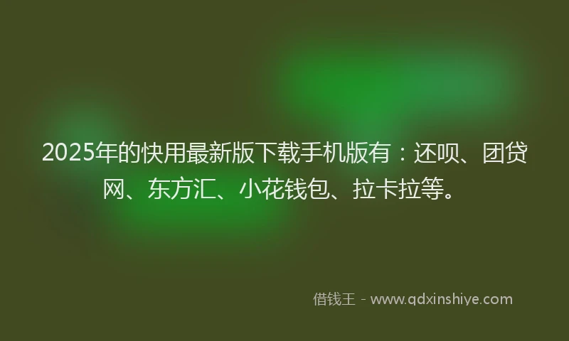 2025年的快用最新版下载手机版有：还呗、团贷网、东方汇、小花钱包、拉卡拉等。