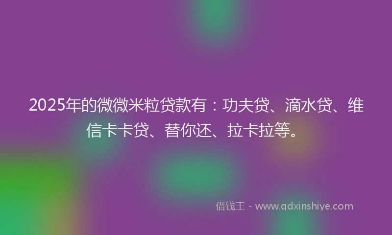 2025年的微微米粒贷款有：功夫贷、滴水贷、维信卡卡贷、替你还、拉卡拉等。