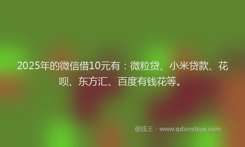 2025年的微信借10元有：微粒贷、小米贷款、花呗、东方汇、百度有钱花等。