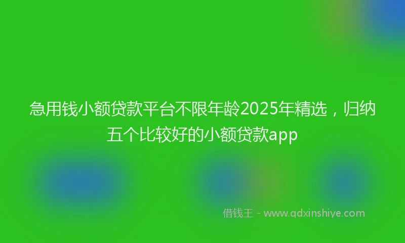 急用钱小额贷款平台不限年龄2025年精选，归纳五个比较好的小额贷款app