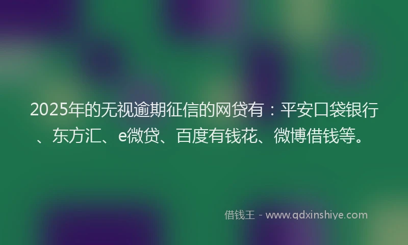 2025年的无视逾期征信的网贷有：平安口袋银行、东方汇、e微贷、百度有钱花、微博借钱等。