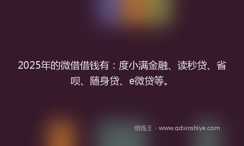 2025年的微借借钱有：度小满金融、读秒贷、省呗、随身贷、e微贷等。