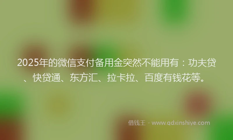 2025年的微信支付备用金突然不能用有：功夫贷、快贷通、东方汇、拉卡拉、百度有钱花等。