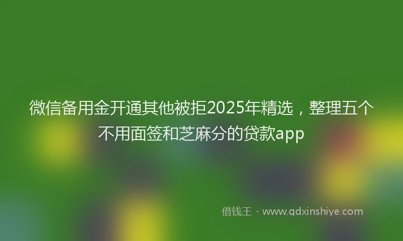 微信备用金开通其他被拒2025年精选，整理五个不用面签和芝麻分的贷款app