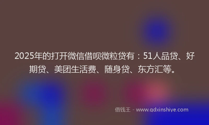 2025年的打开微信借呗微粒贷有：51人品贷、好期贷、美团生活费、随身贷、东方汇等。