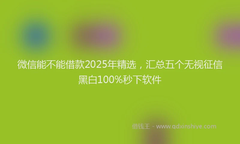 微信能不能借款2025年精选，汇总五个无视征信黑白100%秒下软件