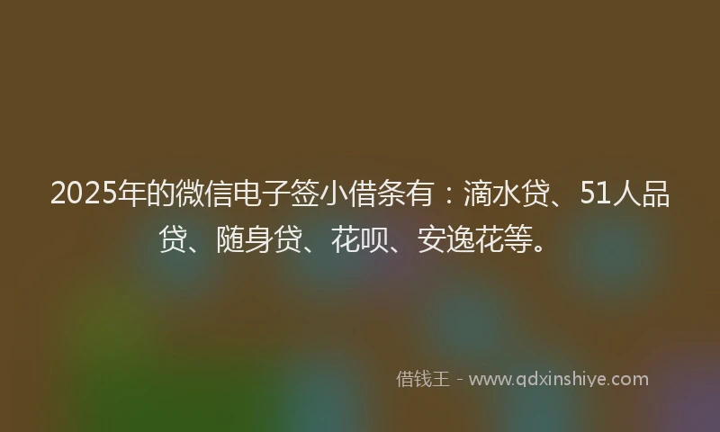 2025年的微信电子签小借条有：滴水贷、51人品贷、随身贷、花呗、安逸花等。