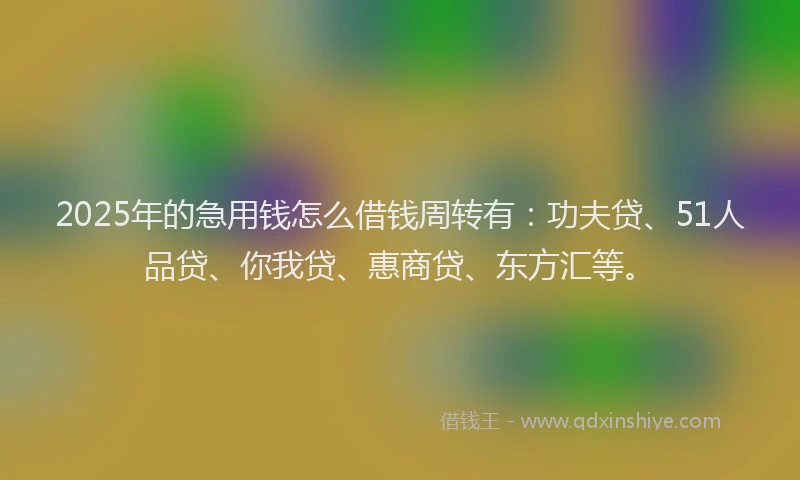 2025年的急用钱怎么借钱周转有：功夫贷、51人品贷、你我贷、惠商贷、东方汇等。