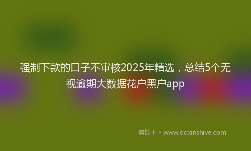 强制下款的口子不审核2025年精选，总结5个无视逾期大数据花户黑户app