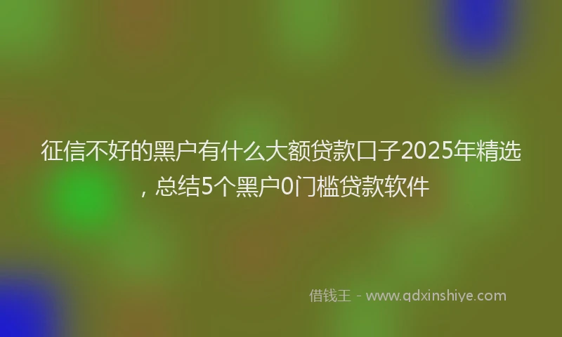 征信不好的黑户有什么大额贷款口子2025年精选，总结5个黑户0门槛贷款软件