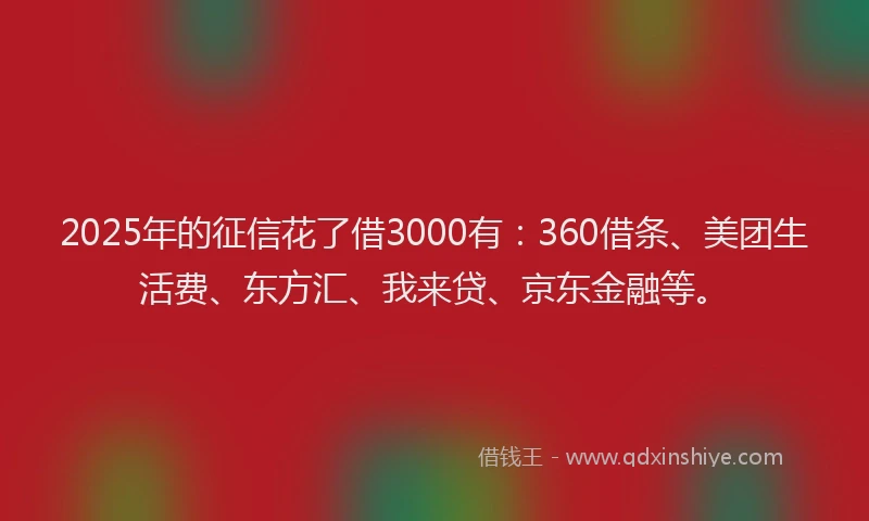 2025年的征信花了借3000有：360借条、美团生活费、东方汇、我来贷、京东金融等。