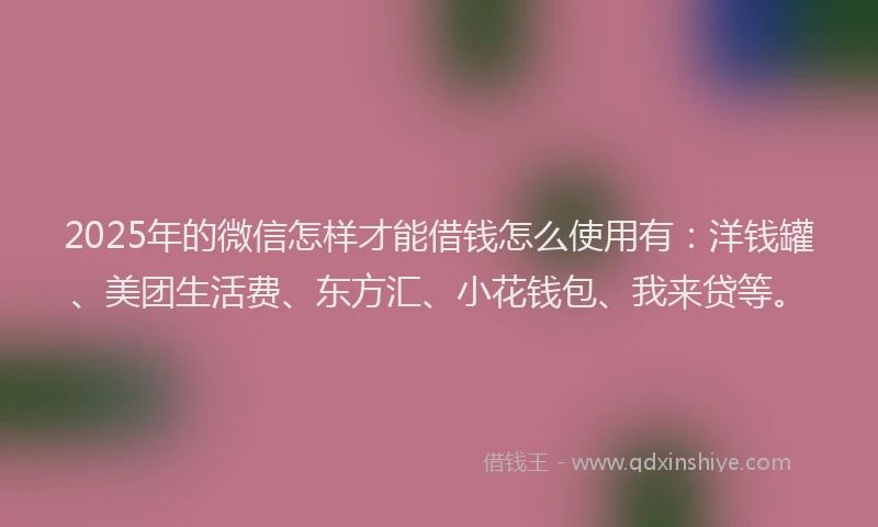 2025年的微信怎样才能借钱怎么使用有：洋钱罐、美团生活费、东方汇、小花钱包、我来贷等。