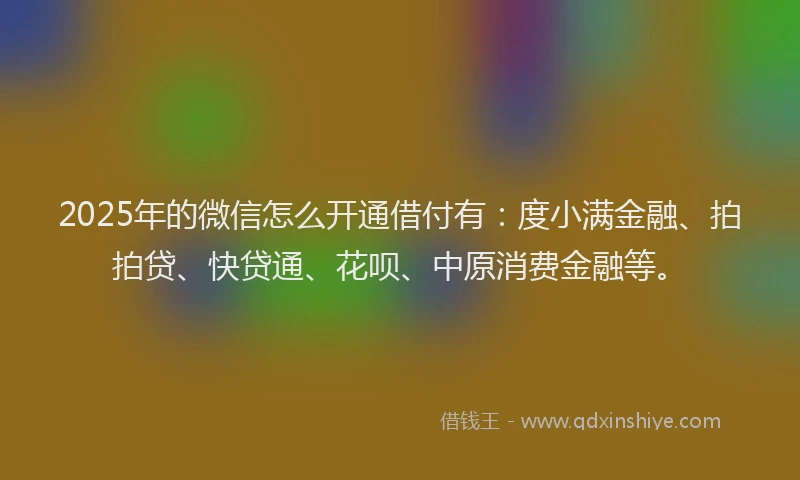 2025年的微信怎么开通借付有：度小满金融、拍拍贷、快贷通、花呗、中原消费金融等。